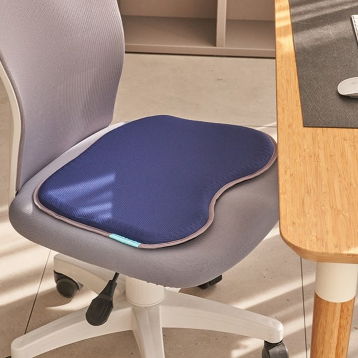 밸런스온 베타젤 FIT 시트 L  커버