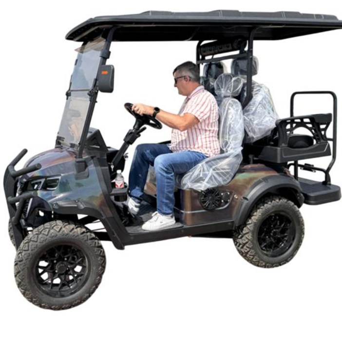 골프전동카트 성인탑승 전동차 골프 카트 4륜 구동 리튬 배터리 2 4 6 8인승 전기 리프트 버기 거리 법적 차량 성인