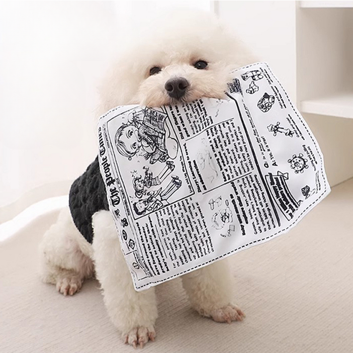 리소움 터그놀이 스트레스해소 강아지장난감