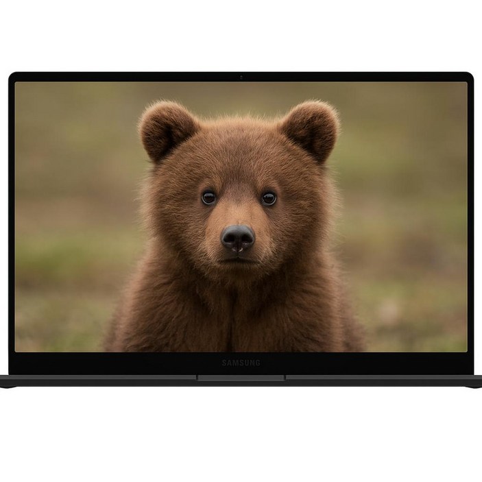 삼성전자 갤럭시북5 프로 NT960XHA-K52AG 노트북 마우스 키보드 증정, NT960XHA-K52AG, WIN11 Home, 32GB, 1TB, 그레이