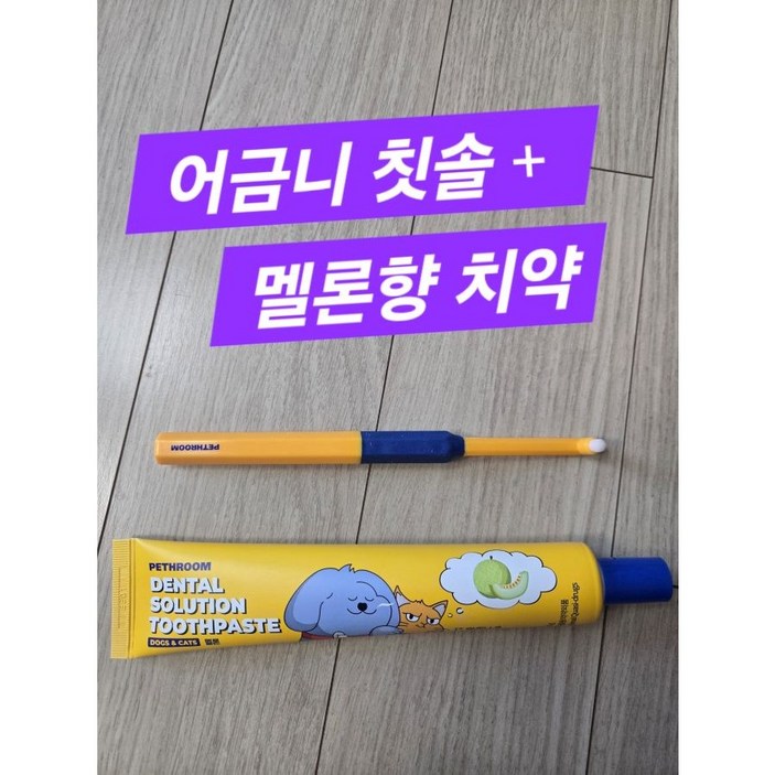 [페스룸] 포인트 솔루션 세트(칫솔+치약) 초소형 초극세사모 어금니칫솔+바르는 치약 입냄새 치석제거