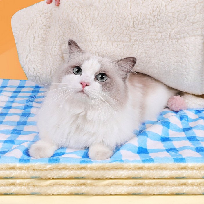 고양이 강아지 겨울 극세사 양모 담요 이불 방석 쿠션, 블루