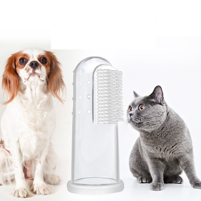 강아지손가락칫솔 퍼피즈랩 고양이 강아지 실리콘 손가락 투명칫솔 10입 양치 구강청결, 10개, 본품