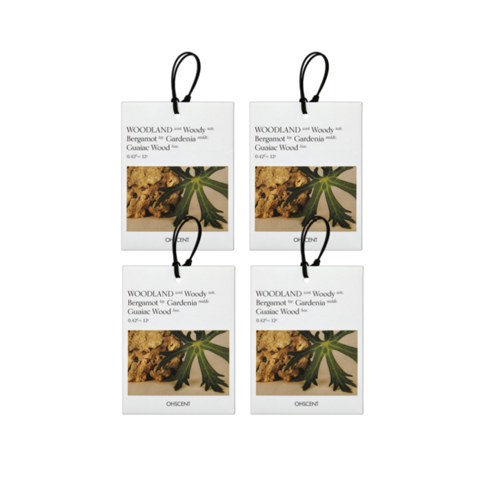 31 오센트 퍼퓸 샤쉐 6종 4입, 룸 차량 옷장 화장실 방향제 공간을 담은 향기