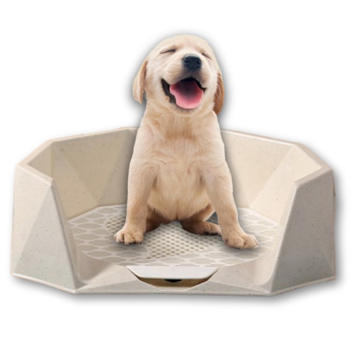 프리미엄 강아지 화장실 가림막 이중패드 튀는 소변 방지 청소 쉬운 분리형, 1개, 스카이블루