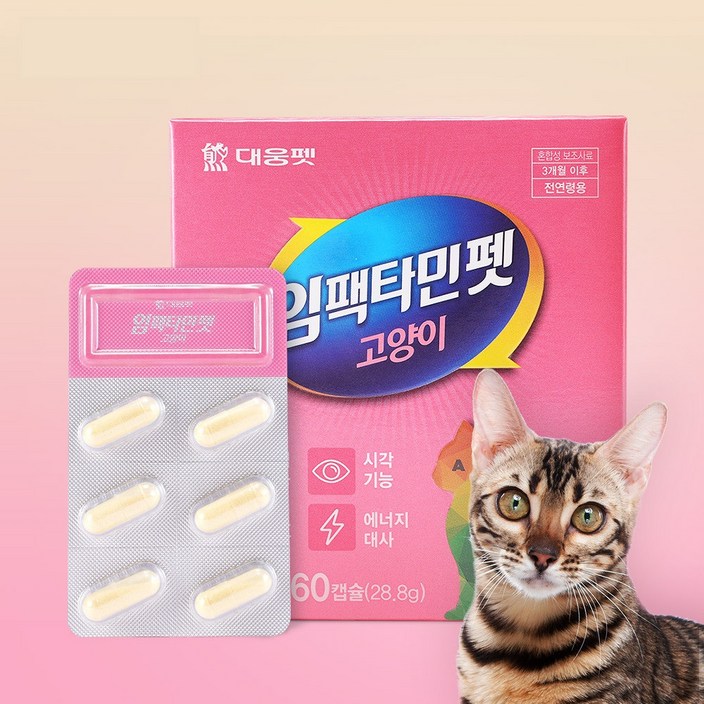 대웅펫 임팩타민펫 고양이 종합영양제 60캡슐, 비타민, 면역력 강화, 1개
