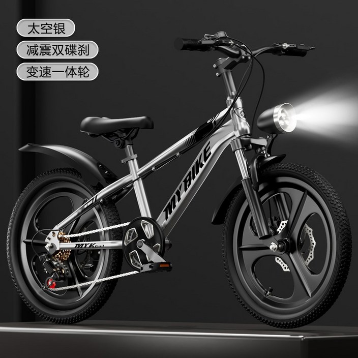 스로틀 pas 자토바이 20AH pas전기자전거 출퇴근용 레트로 48V 30Ah