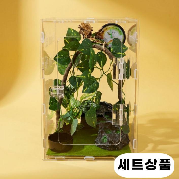 필핏 크레스티드 게코 사육장 도마뱀 파충류 은신처 세트, 그린홈세트, 1개