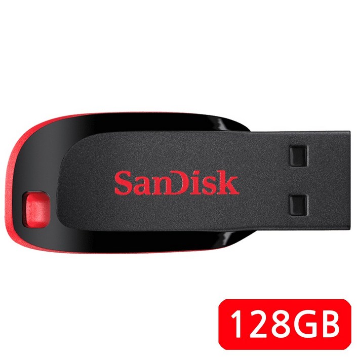샌디스크 블레이드 USB 플래시 드라이브 SDCZ50