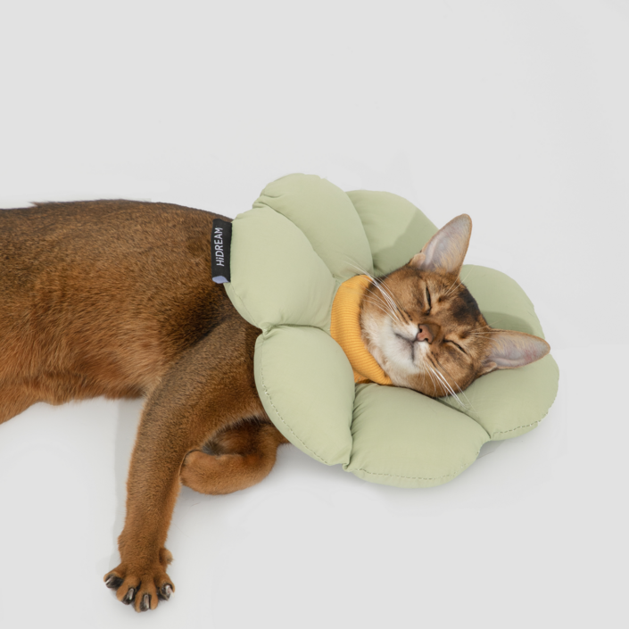 하이드림 마카롱 플라워 방수 넥카라, 1개, 그린