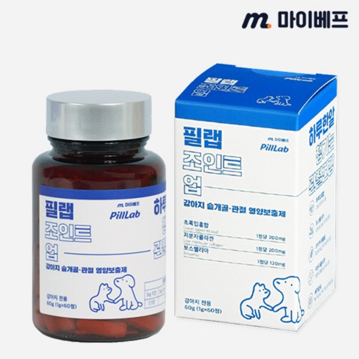 마이베프 필랩 조인트업 1000mg x 60캡슐 (유통기한 임박 2025-10-04)