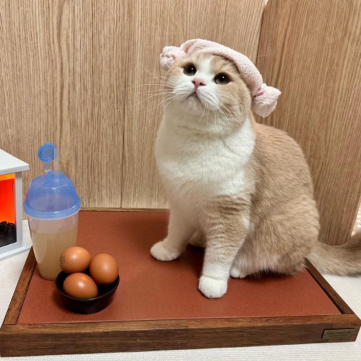 강아지 고양이 국내산 온열매트 옹댕이 사계절 천연황토매트