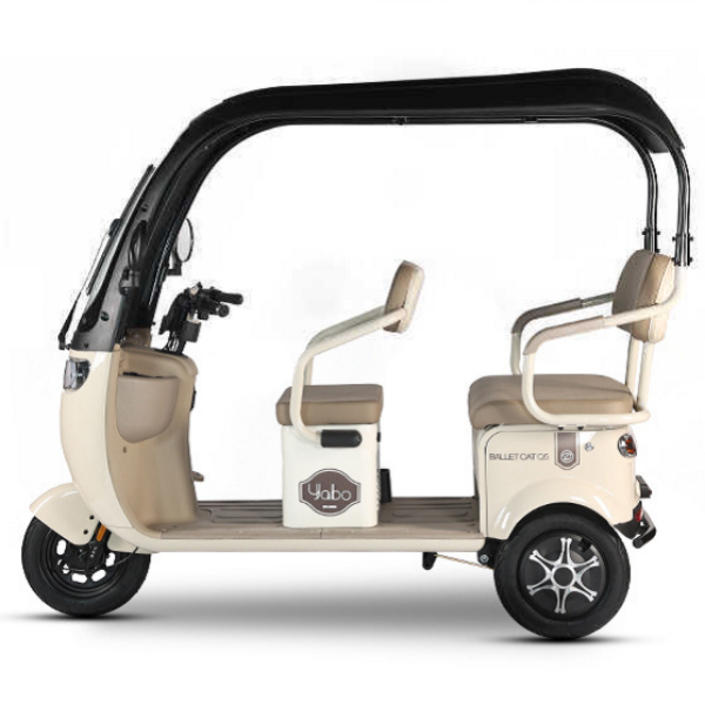 아트테크 캐노피 지붕 전동스쿠터 2인 3인 용 세발 삼륜차 3륜 오토바이 전동스쿠터 전동카트 전동차 관광지용 리조트용 레저용 낚시용 장애인용 시니어 부모님효도선물, 1. 베이지