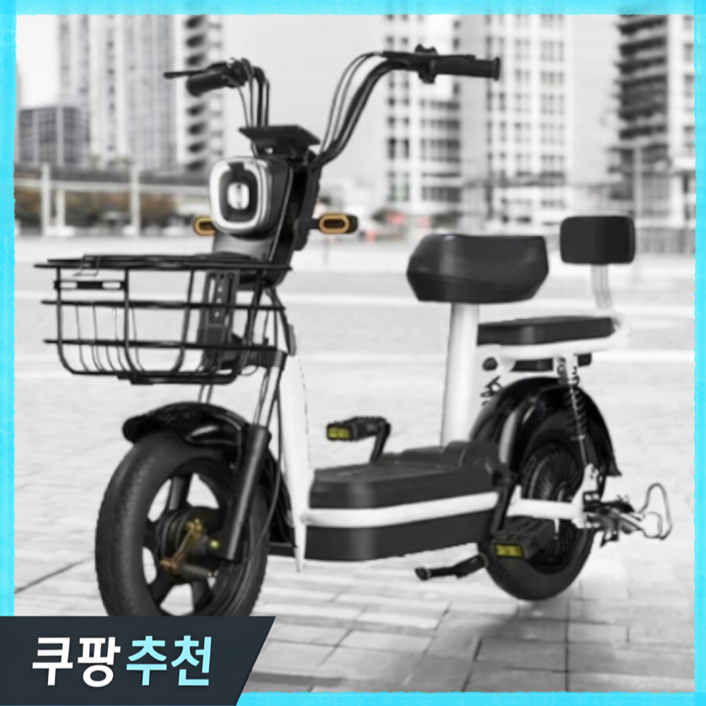 로이스 전기자전거 스쿠터 고출력 분리형 배터리 자토바이 2인용 전동자전거 미니벨로전기자전거, 블랙 로이스 전기자전거 스쿠터 고출력 분리형 배터리 자토바이 2인용 전동자전거 미니벨로전기자전거, 블랙
