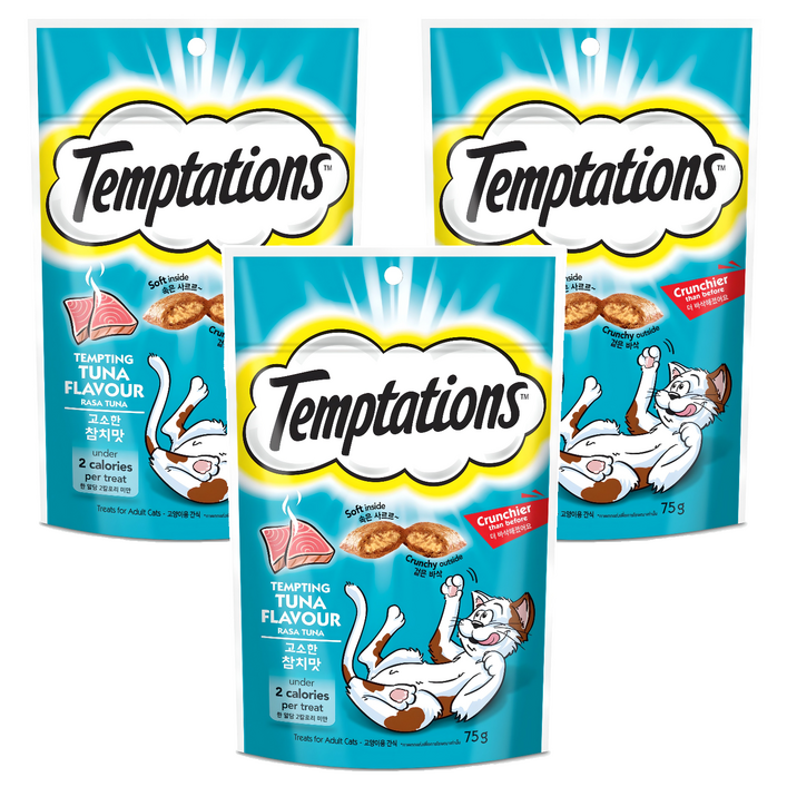 템테이션 고양이 스낵