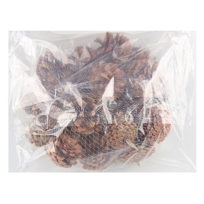 유니아트 천연솔방울 대 450g