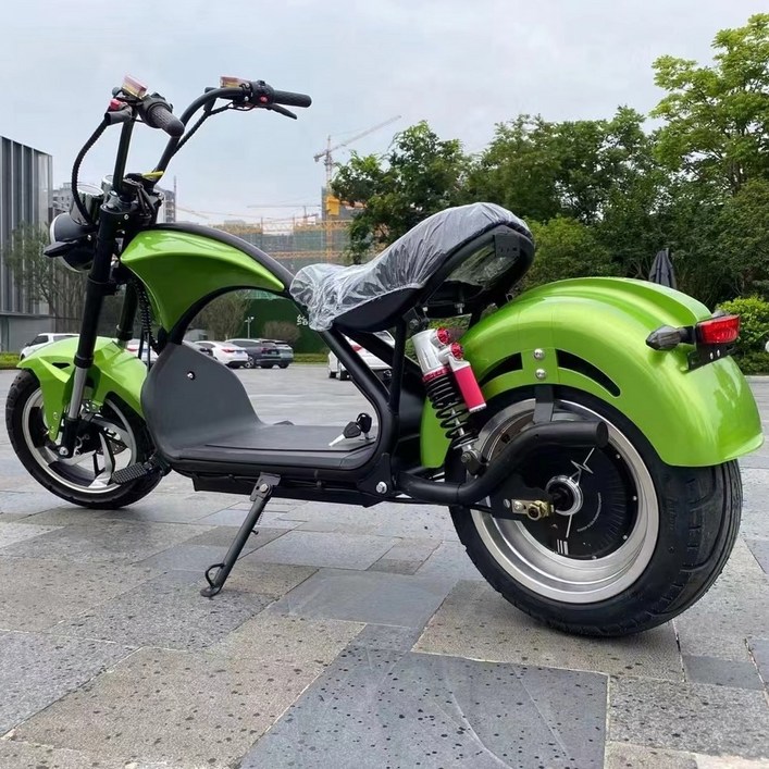 할리 전기스쿠터 고출력 엄청빠른 전기바이크 전동스쿠터