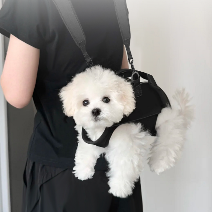 Jeernare 강아지 슬링백 애견 앞가방 백팩 강아지 포대기 반려동물 프론트백 중소형견 이동가방 고품질 버클형 앞뒤사용가능