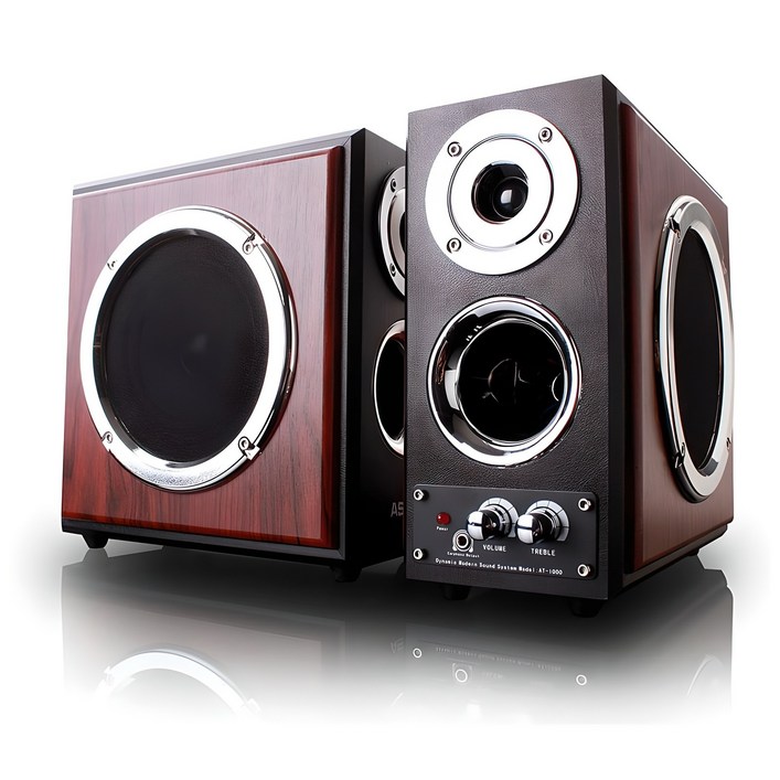ASHTON AT1000 WOOD 스피커 컴퓨터스피커 TV스피커 이어폰단자
