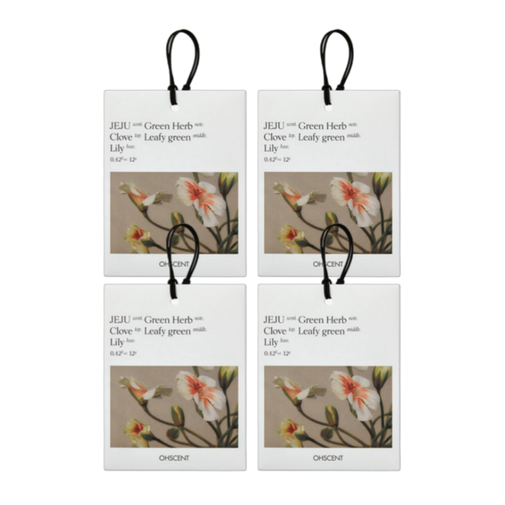 [3+1] 오센트 퍼퓸 샤쉐 6종 4입, 룸 차량 옷장 화장실 방향제! 공간을 담은 향기