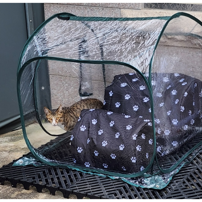 길고양이집 길냥이 급식소 겨울집 야외 실외 방수 방풍 비닐 텐트 하우스, 1개 길고양이집 길냥이 급식소 겨울집 야외 실외 방수 방풍 비닐 텐트 하우스, 1개