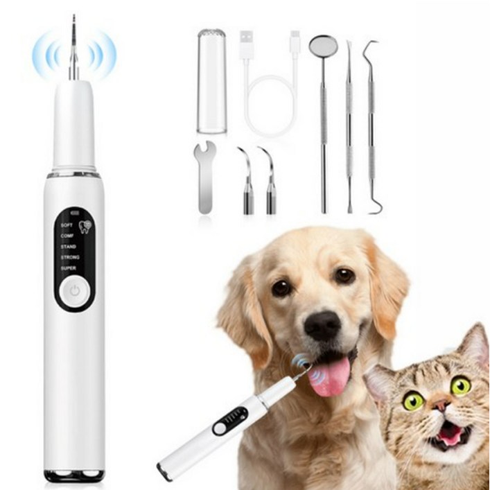 애완동물 강아지치석제거기 지능 초음파치석제거기 구강청결 치석제거