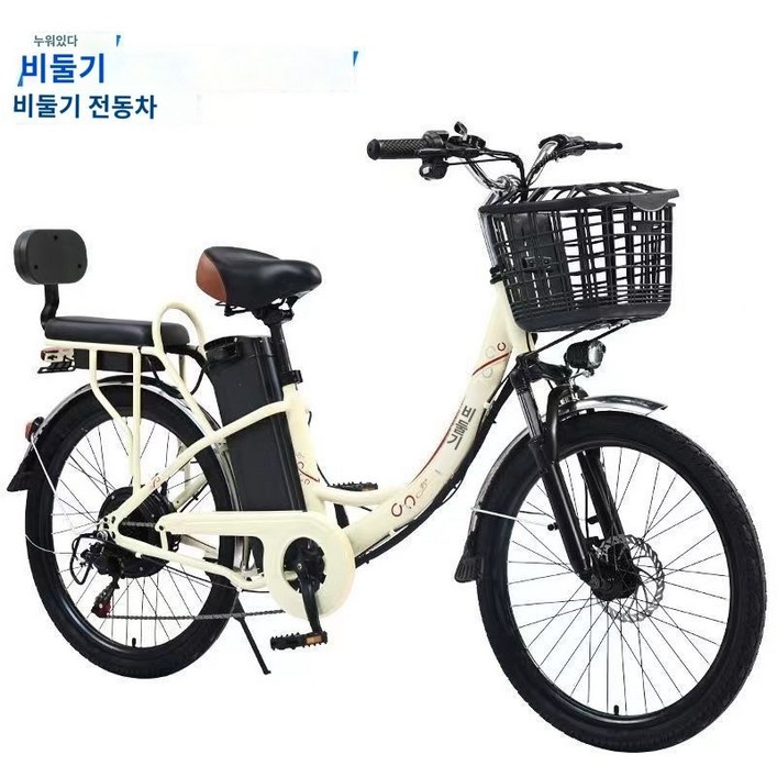 2인승 전기자전거 캐주얼 전동바이크 리튬배터리 가변속도 스쿠터