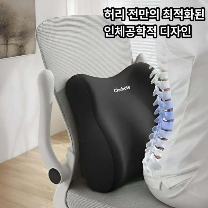 슈레보 사무실 편안 바른자세 등받이 허리 쿠션, 블랙