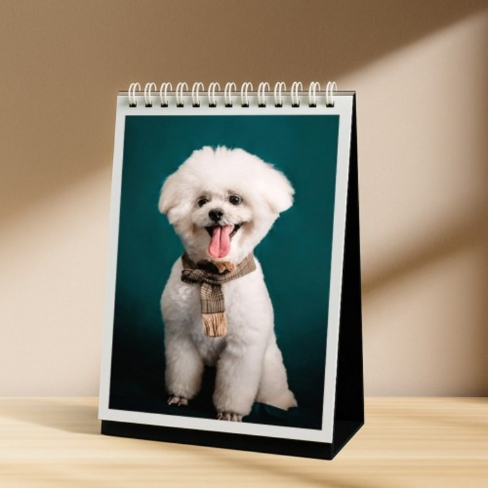 탁상용 포토북 사진앨범 셀프 아기 애견 여행 앨범제작