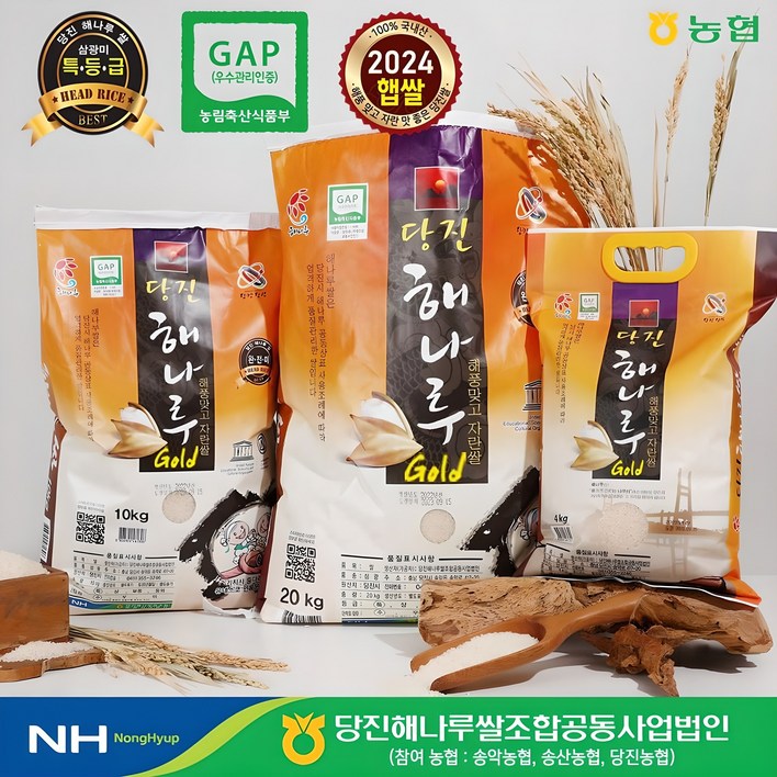 [출고당일도정] 2024년산 골드쌀 [삼광미 특등급]