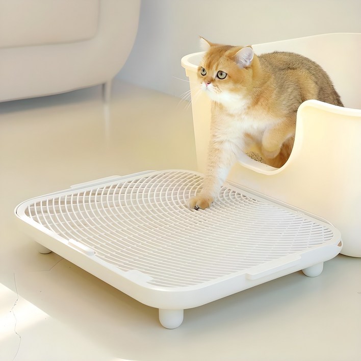 소심한호랑이 고양이 심쿵발판, 아이보리, 1개