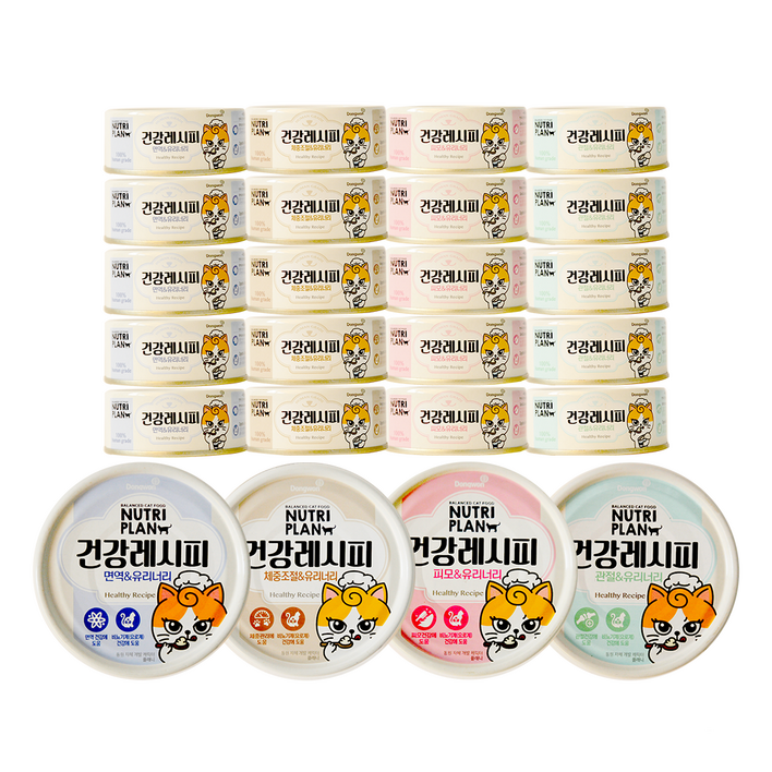 동원 뉴트리플랜 습식캔 건강레시피, 4종, 90g, 24개