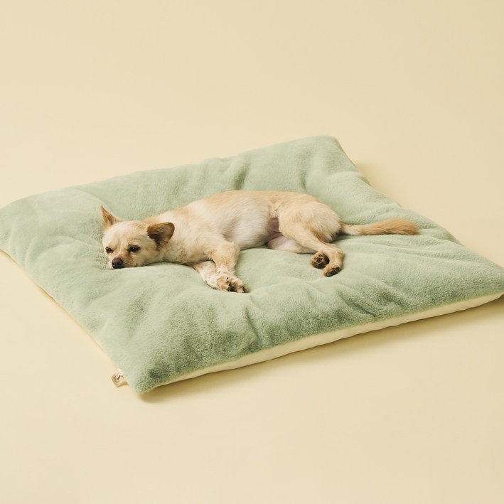 동원아르르 꿀잠 이불