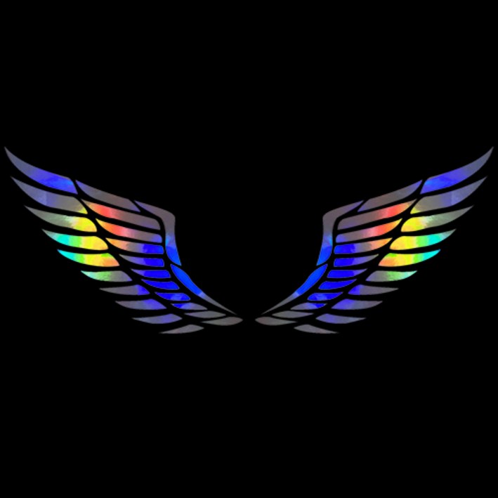 마이웨이카 자동차 천사 날개 스티커, 홀로그램, 1개 마이웨이카 자동차 천사 날개 스티커, 홀로그램, 1개