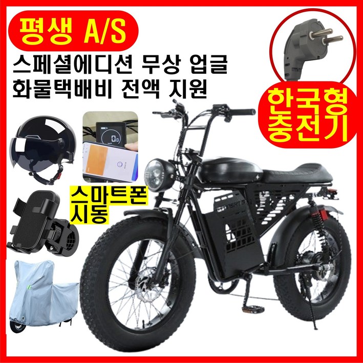 테크앤유 자토바이 RX9 전기자전거 레트로 스페셜에디션, 블랙, 스틸