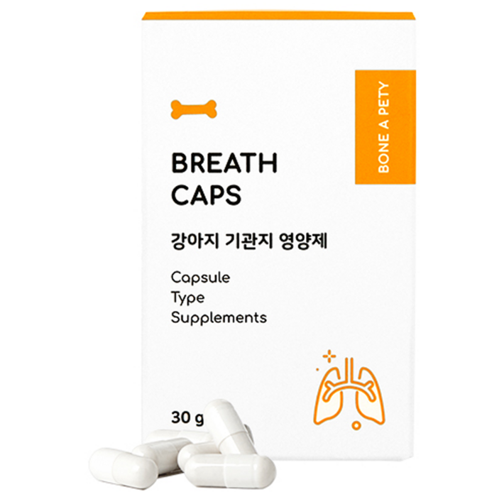 본아페티 강아지 캡스 영양제 본아페티 강아지 캡스 영양제