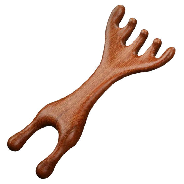 웨즌 두피 페이셜 경락 마사지 괄사