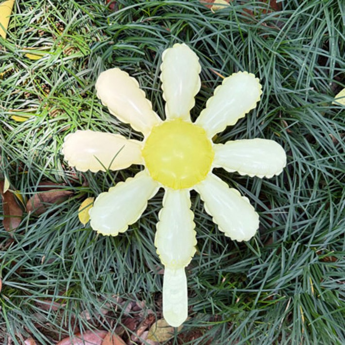 와우파티코리아 8잎 데이지 풍선 소