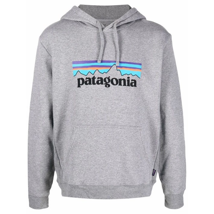 파타고니아 로고 프린트 후디