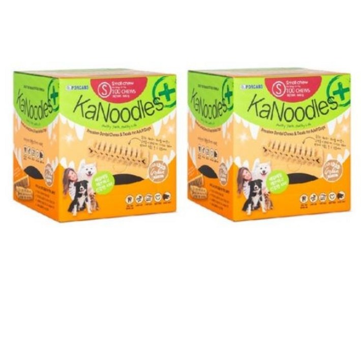 카누들 필로팩 S100 덴탈껌