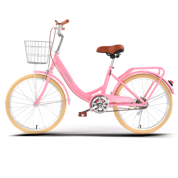 비딩카 여성 클래식 자전거 22인치