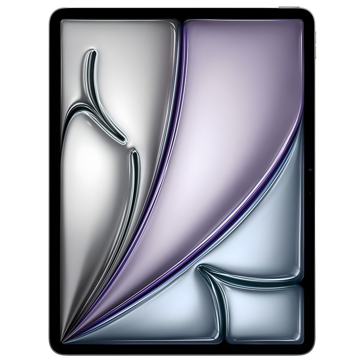 Apple 정품 2024 아이패드 에어 13 M2칩 Apple 정품 2024 아이패드 에어 13 M2칩
