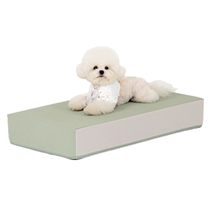 퍼핑 논슬립 펫스텝 1단, 세이지, 1개