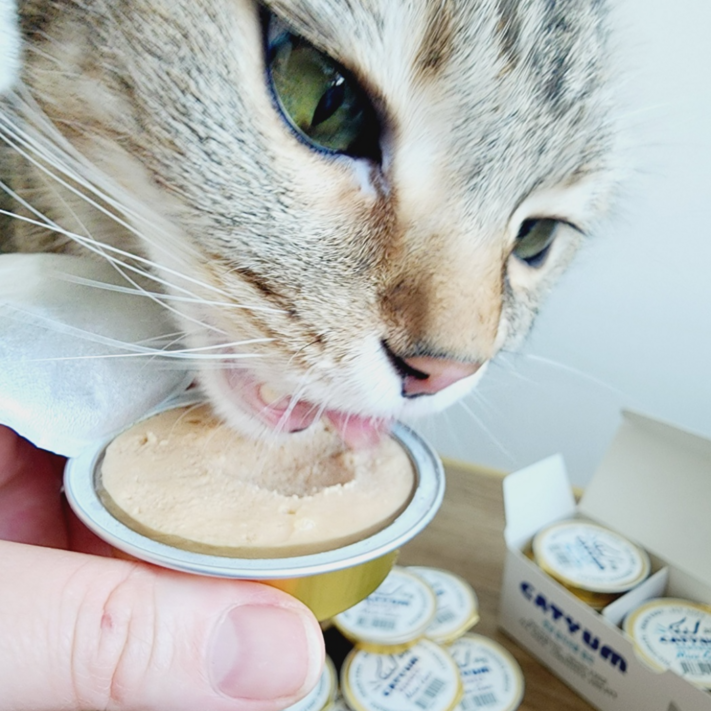 베러펫 레날 고양이캔 습식사료, 24개, 30g, 닭