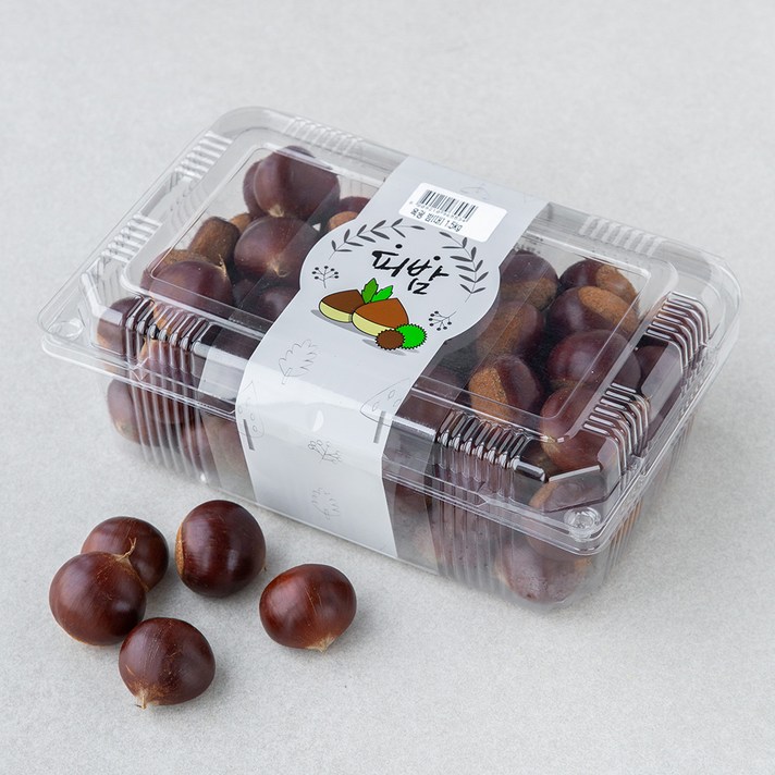 옥광밤 (대), 1.5kg, 1개