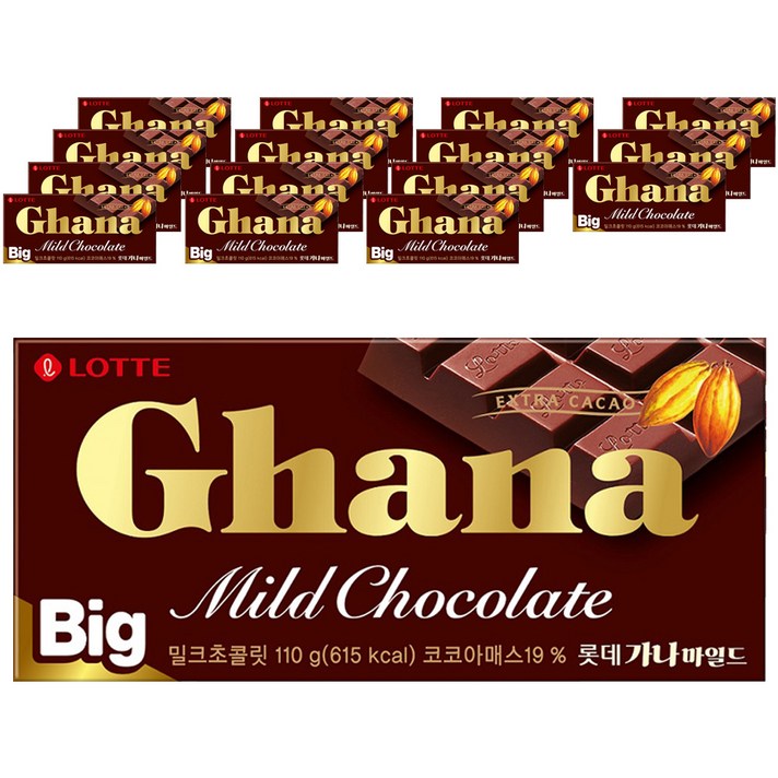  가나 빅가나 초콜릿, 110g, 16개 