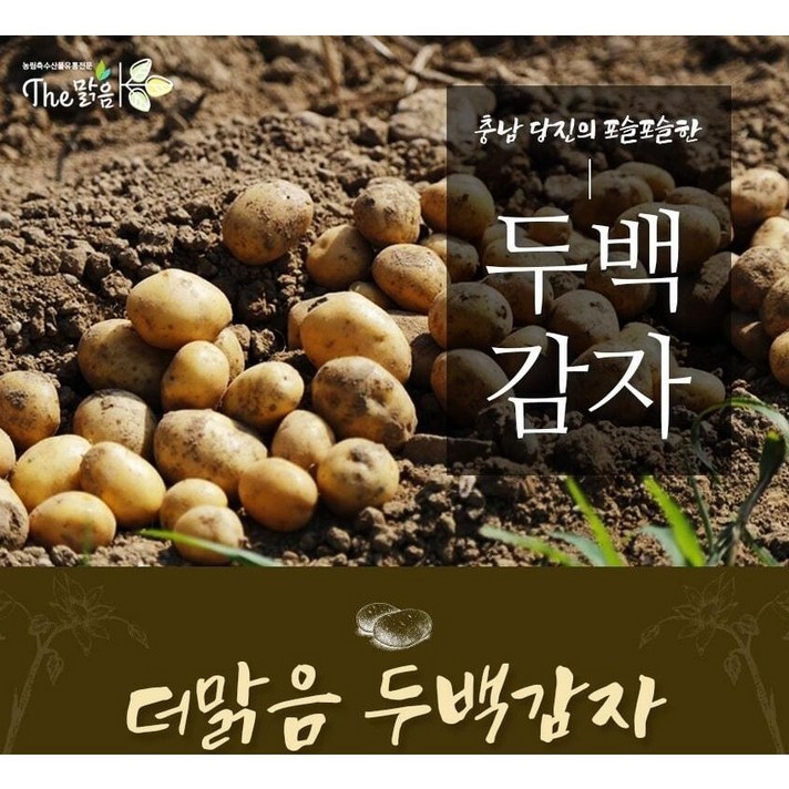 감자 당일발송 / 캐스팅온더본 / 반품교환철저 / [산지직송상품] 충남 당진 두백 감자 20kg, 감자 20kg 조림 (50g 이하)