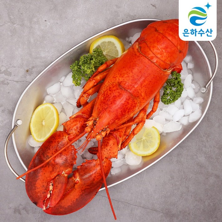 캐나다산 자숙 랍스타 550-700g 1마리 /홈파티 / 캠핑 푸드/ 선물, 단품