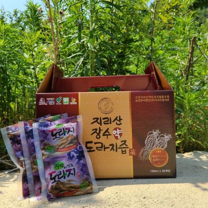  지리산 장수 약도라지 도라지즙 90포(3박스), 3개, 100ml 