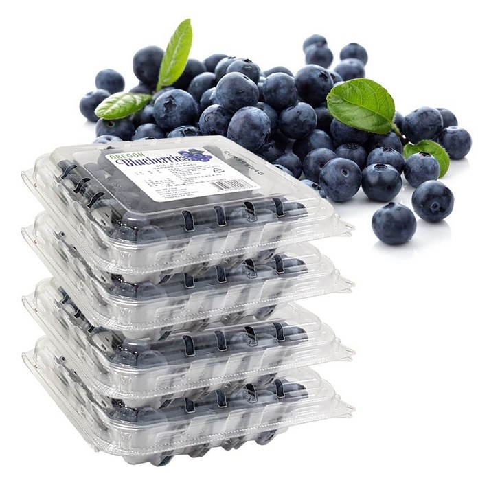 생 블루베리, 1개, 500g(125g*4팩)
